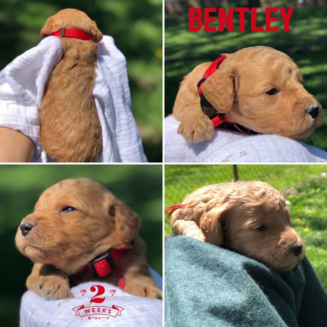 0206FBAF-46D4-478C-852B-FF62961E3533