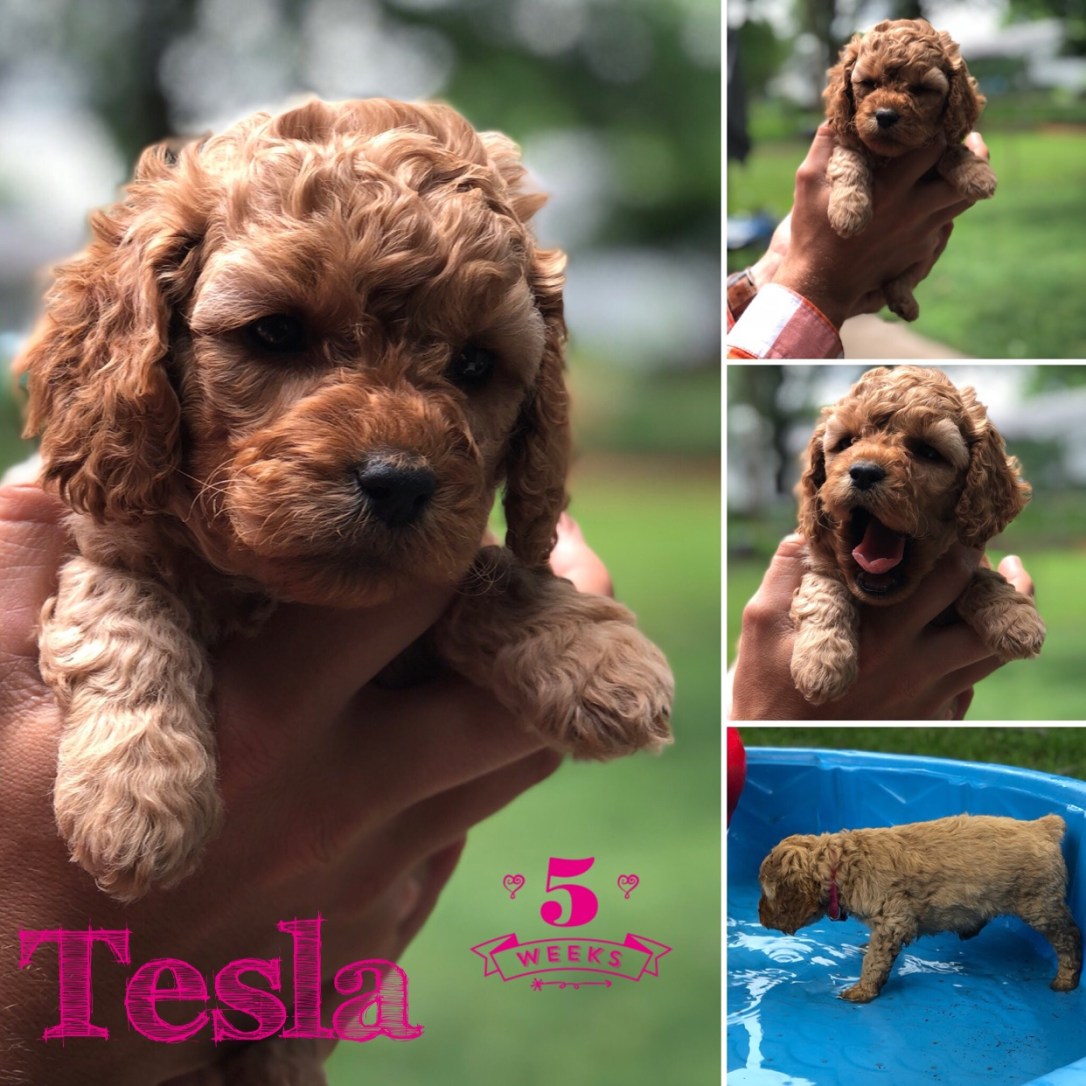 03230021-391E-42E4-83BB-184C18ABAFE6