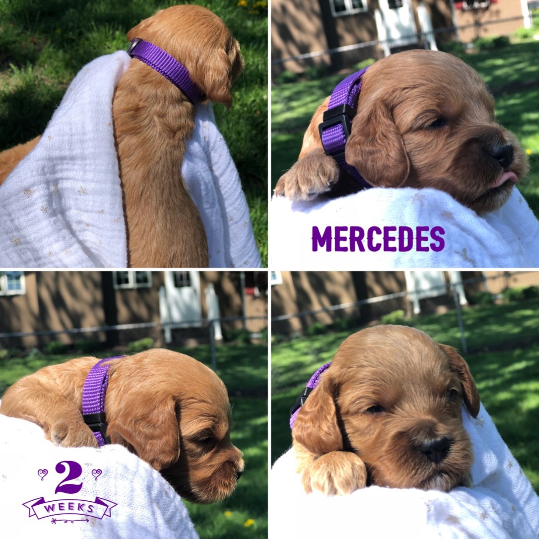 1744A21B-4D3A-4F33-B19B-10AB9875E25D