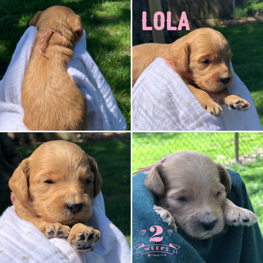 18D17F6E-1AA9-4A69-9271-29143CFE8F4D