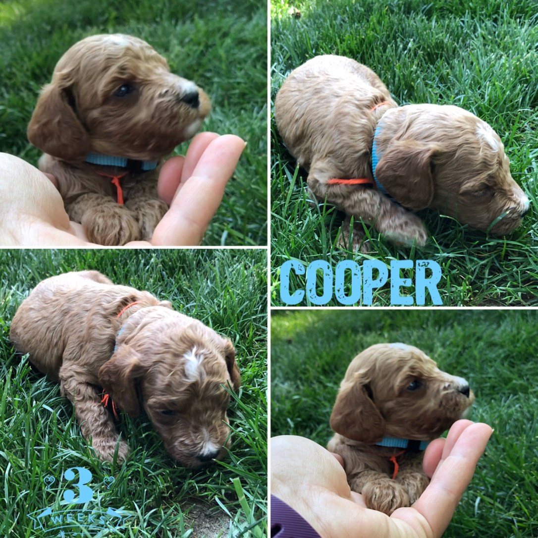 22993617-2C2C-4D72-AB6F-3F78CC5BB268