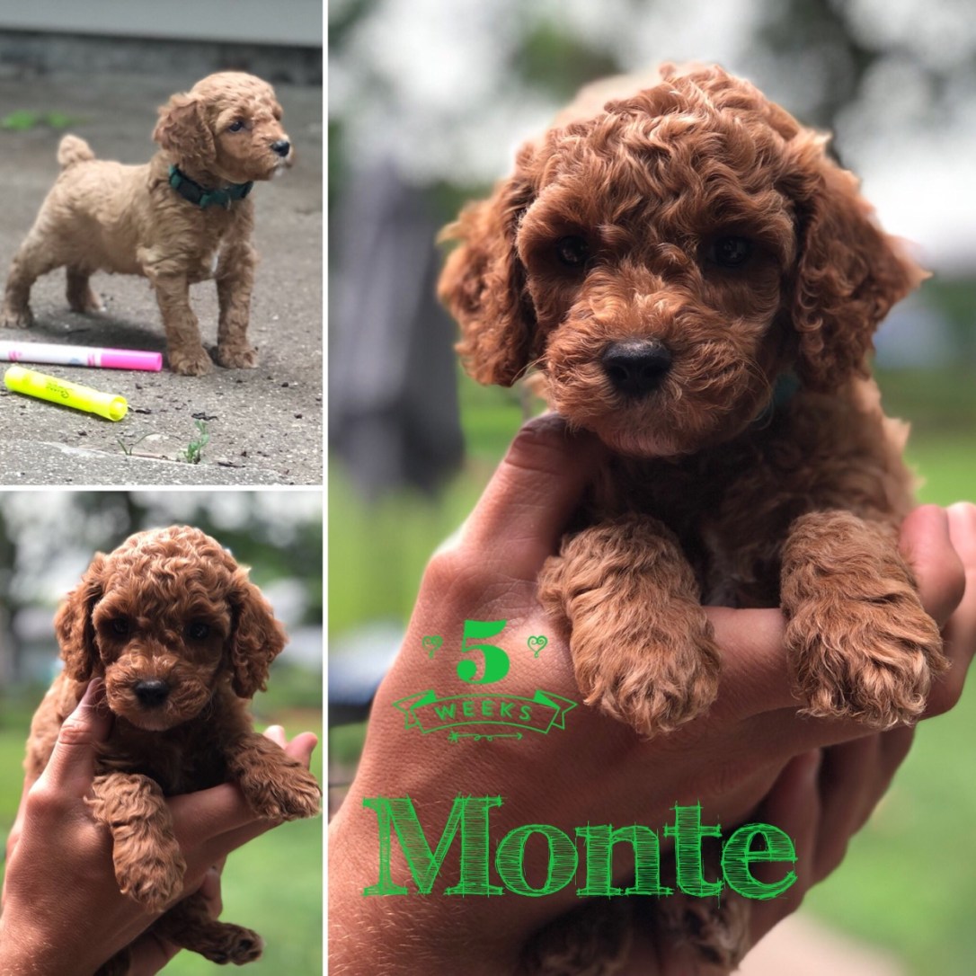 28DC1B82-700C-4E87-B85E-C4EC1B69EA40