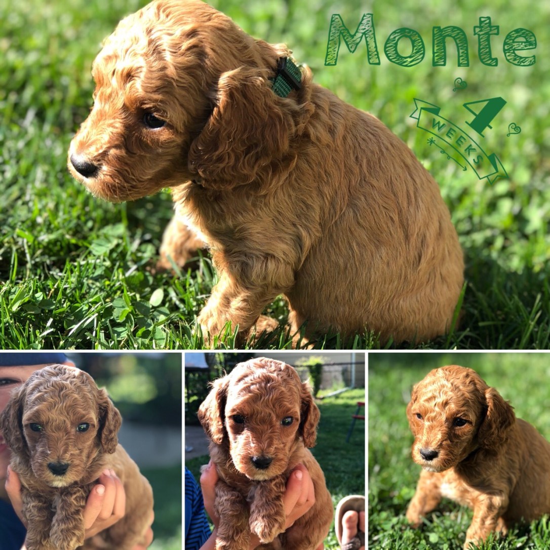 2FF1C244-BC12-4A64-AAA3-9F38262F690E