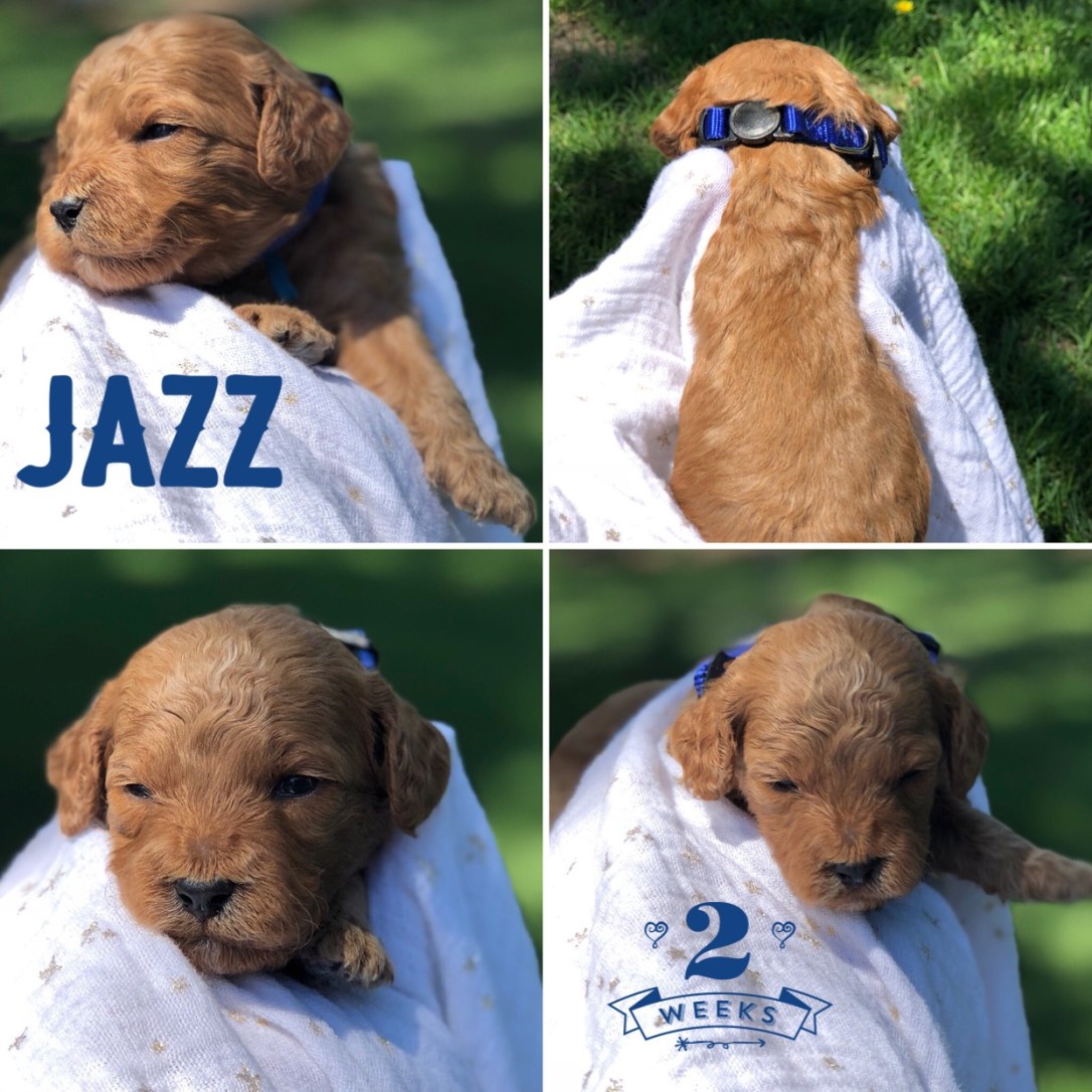 3A2A15EA-5045-432F-8E78-83405592DBAA