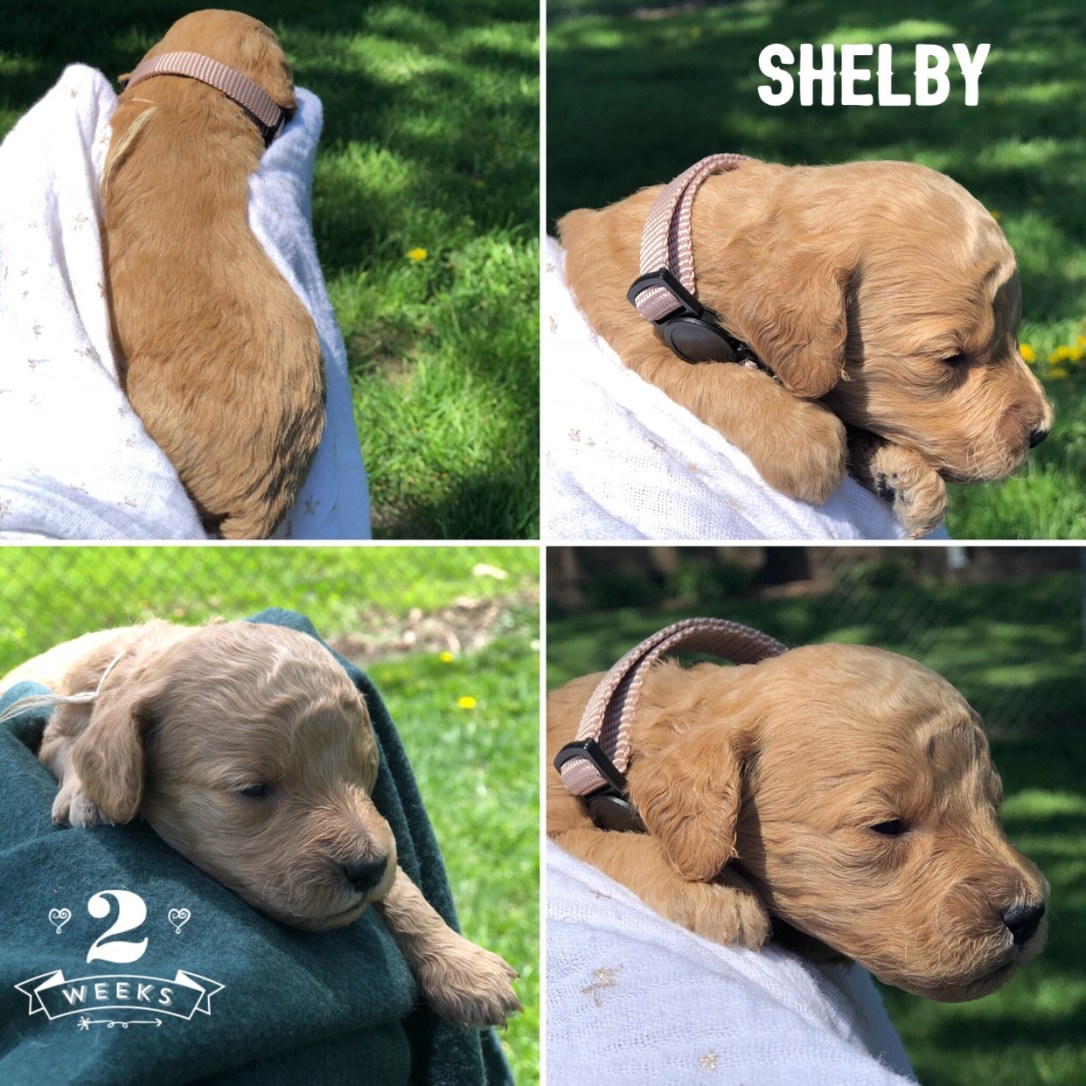 413CD617-0556-45F4-AD75-92C0FA2C6A02