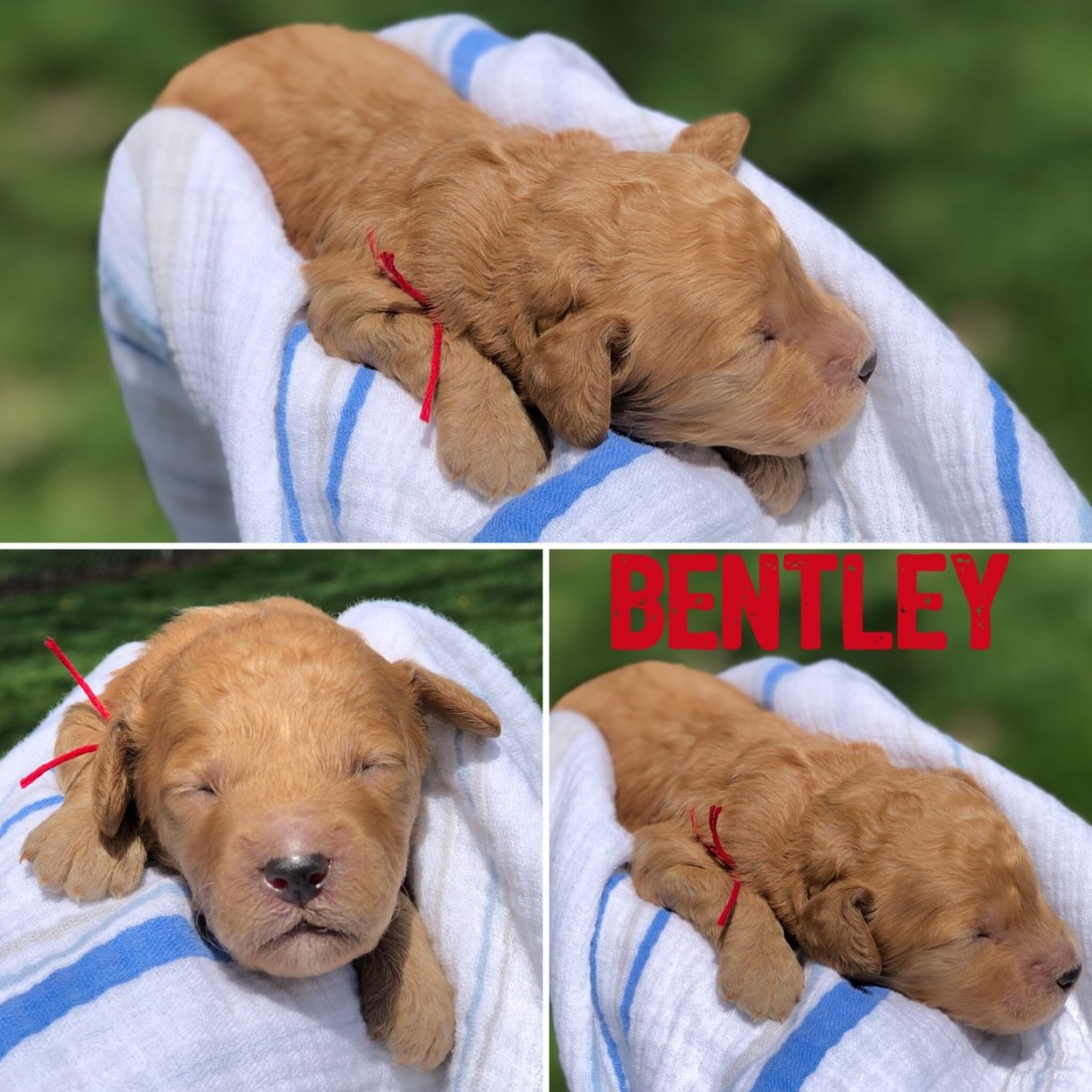 4A690F3E-A8FA-47FB-AD50-64F8900B81C6