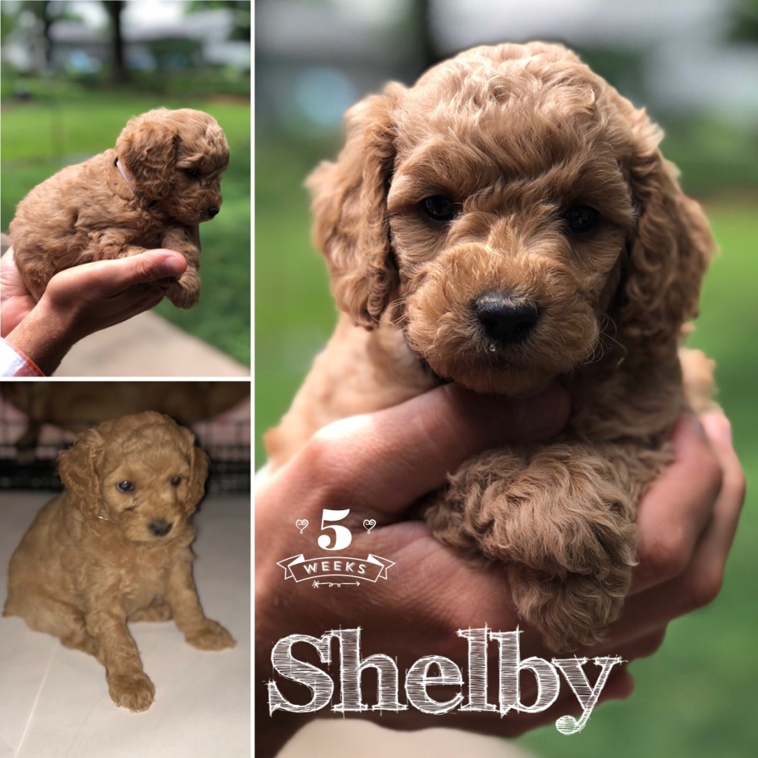 4CCF583A-D62B-4A37-B5DB-DAD65309FF71