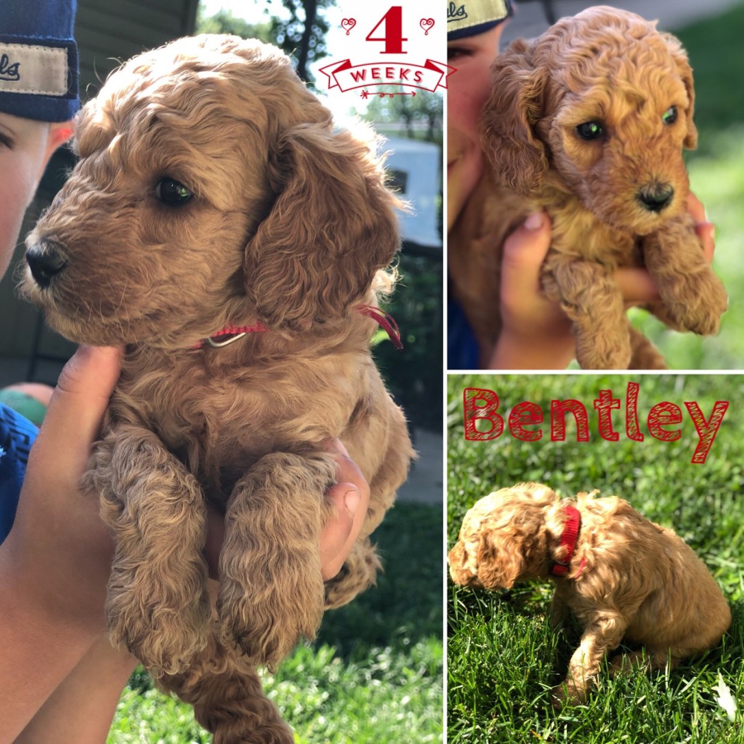 4E1C0EB5-33B9-4CBA-9EAA-98C85CD3AAAD