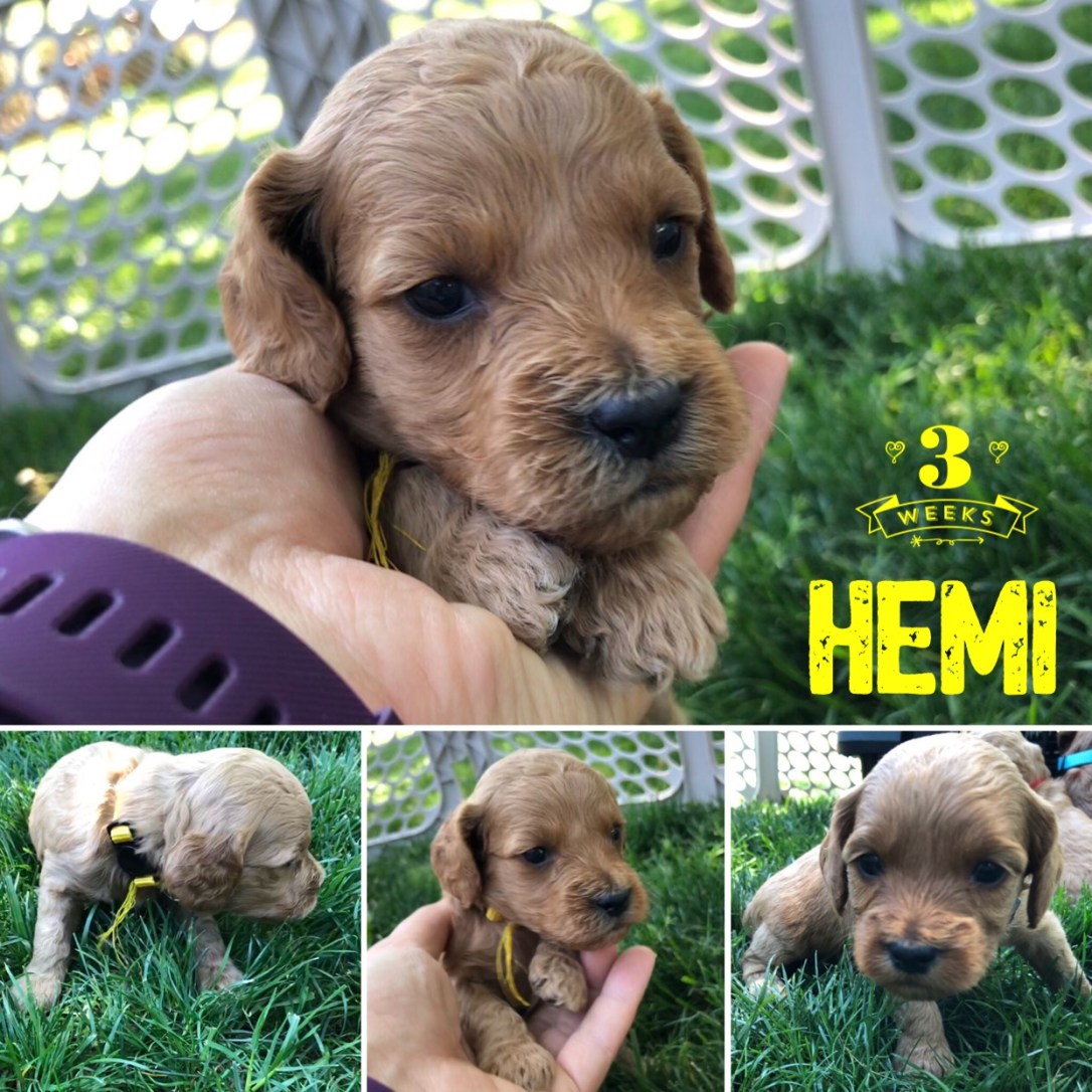 56DEB65C-F4DD-4579-A85F-FE20E06ABEEC