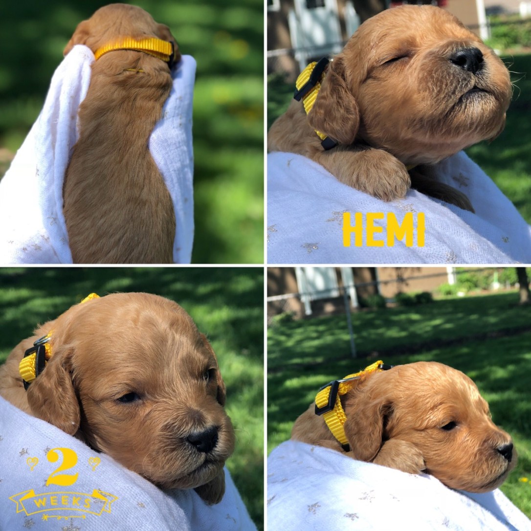 621AF766-9536-4765-9A57-BAF1579AD110