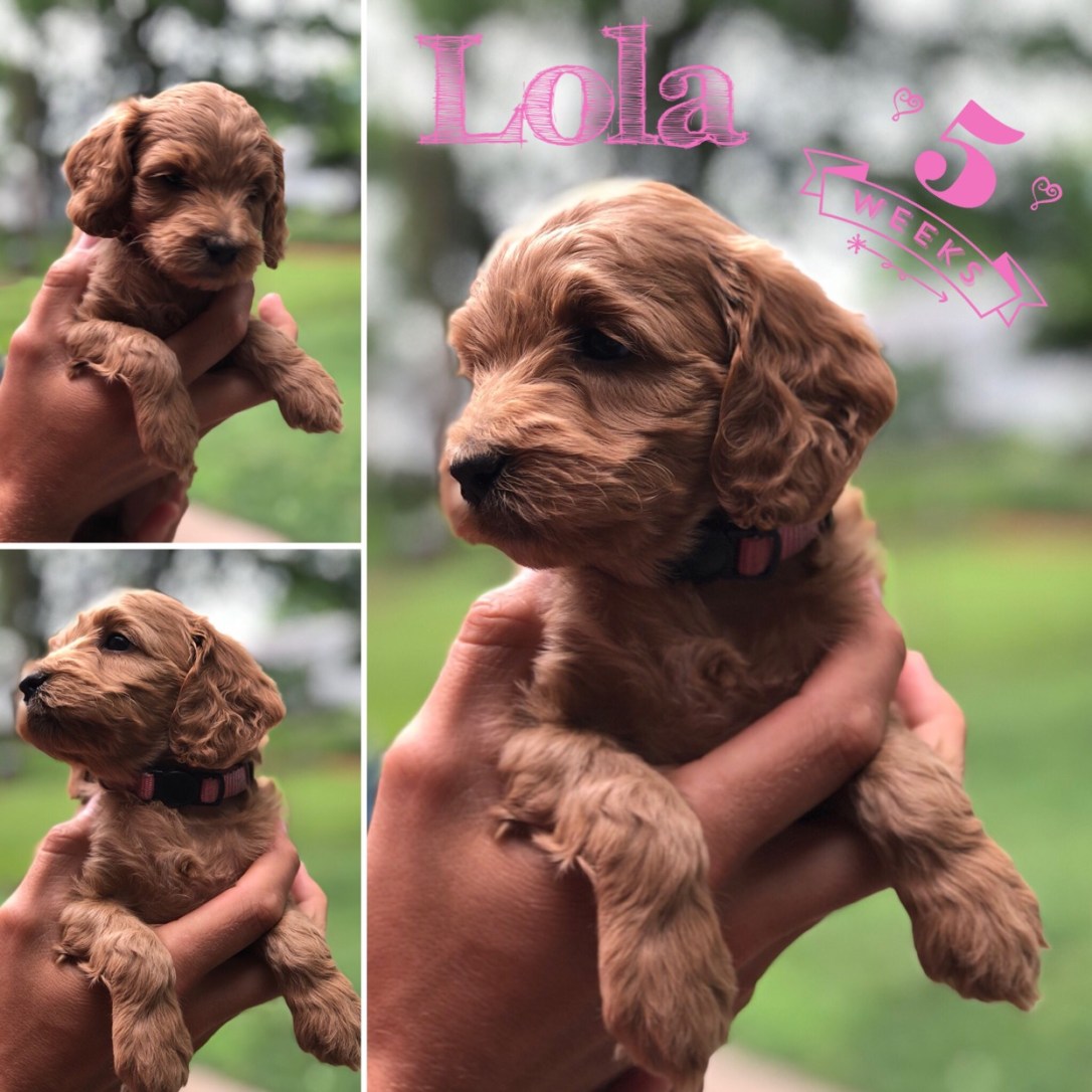 6AF9EEE2-4CF4-478B-B23B-7EC15BAFBCC1