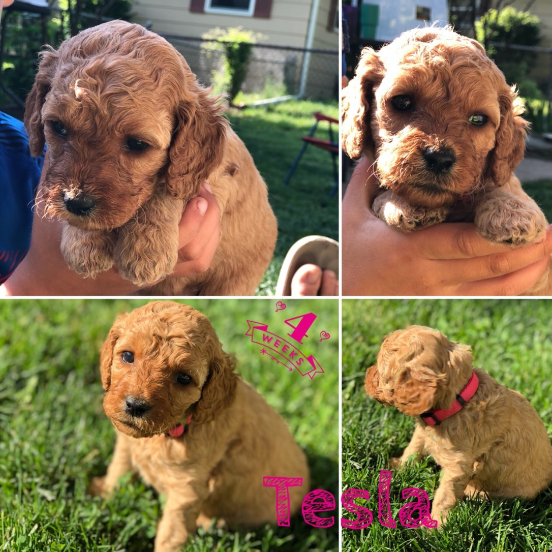 74D13AAF-DC0F-4BE9-9052-686872081735