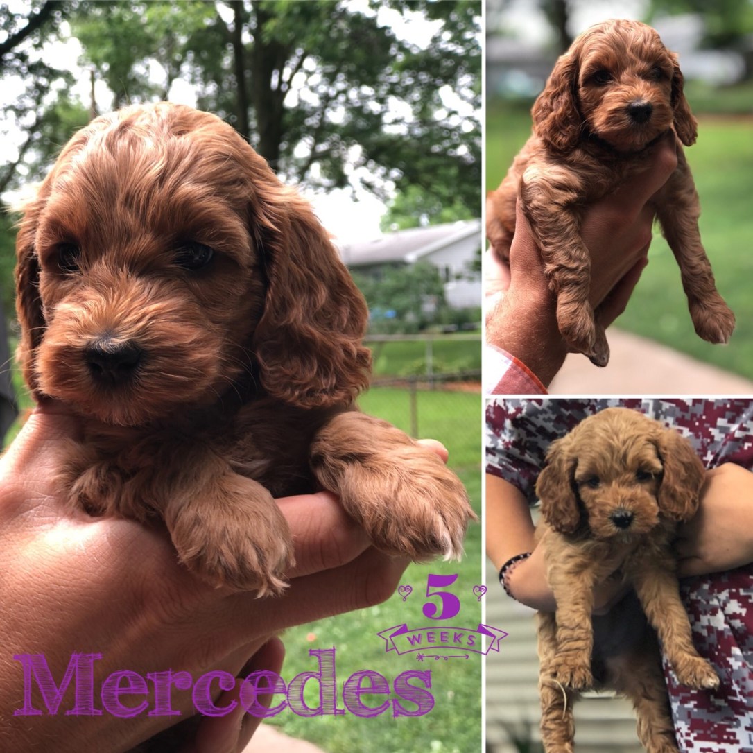 844DBDFD-4E39-4472-A01F-2752A28706A7