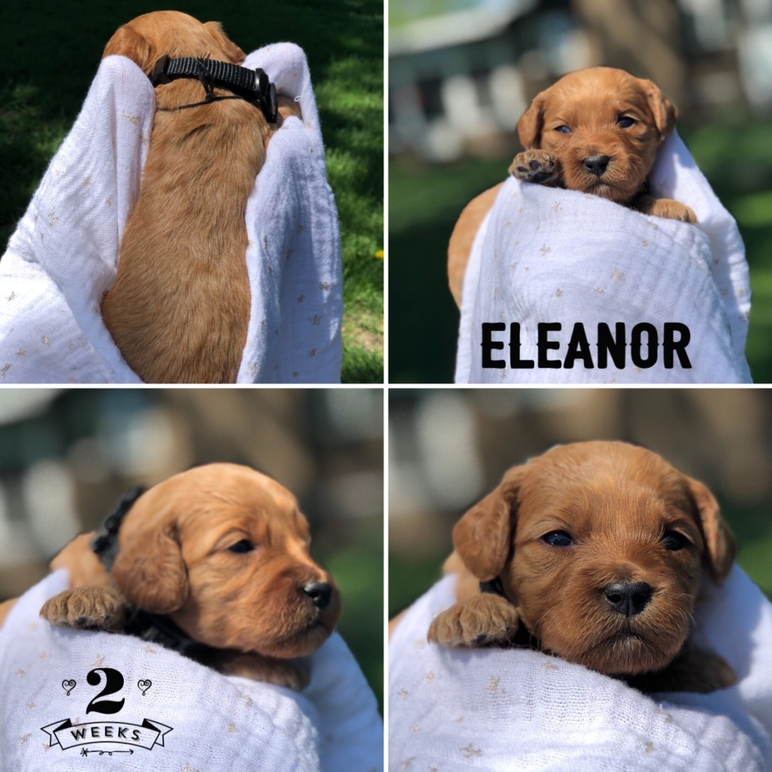 87EC7817-EAAE-49EE-8C41-A64449E7A9ED