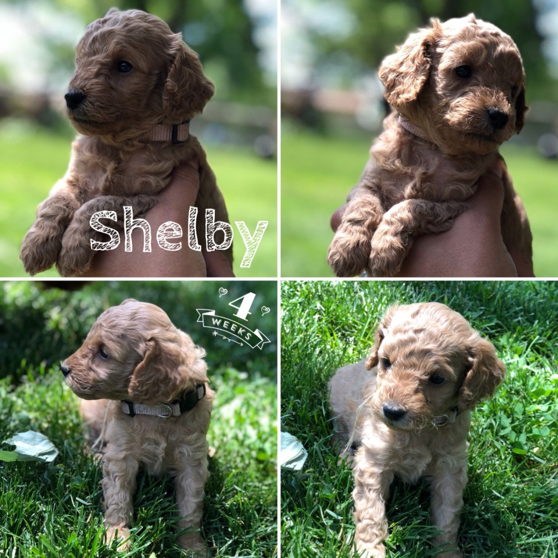 8E67BB5D-F508-4A7D-A6F6-2ACD69E0A3C0