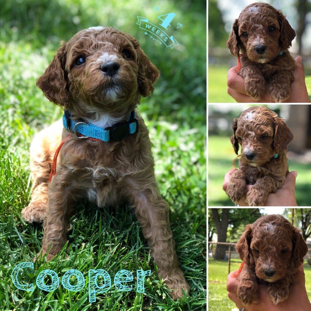 9BAF1D83-5EFE-4594-8D91-672165E80B04