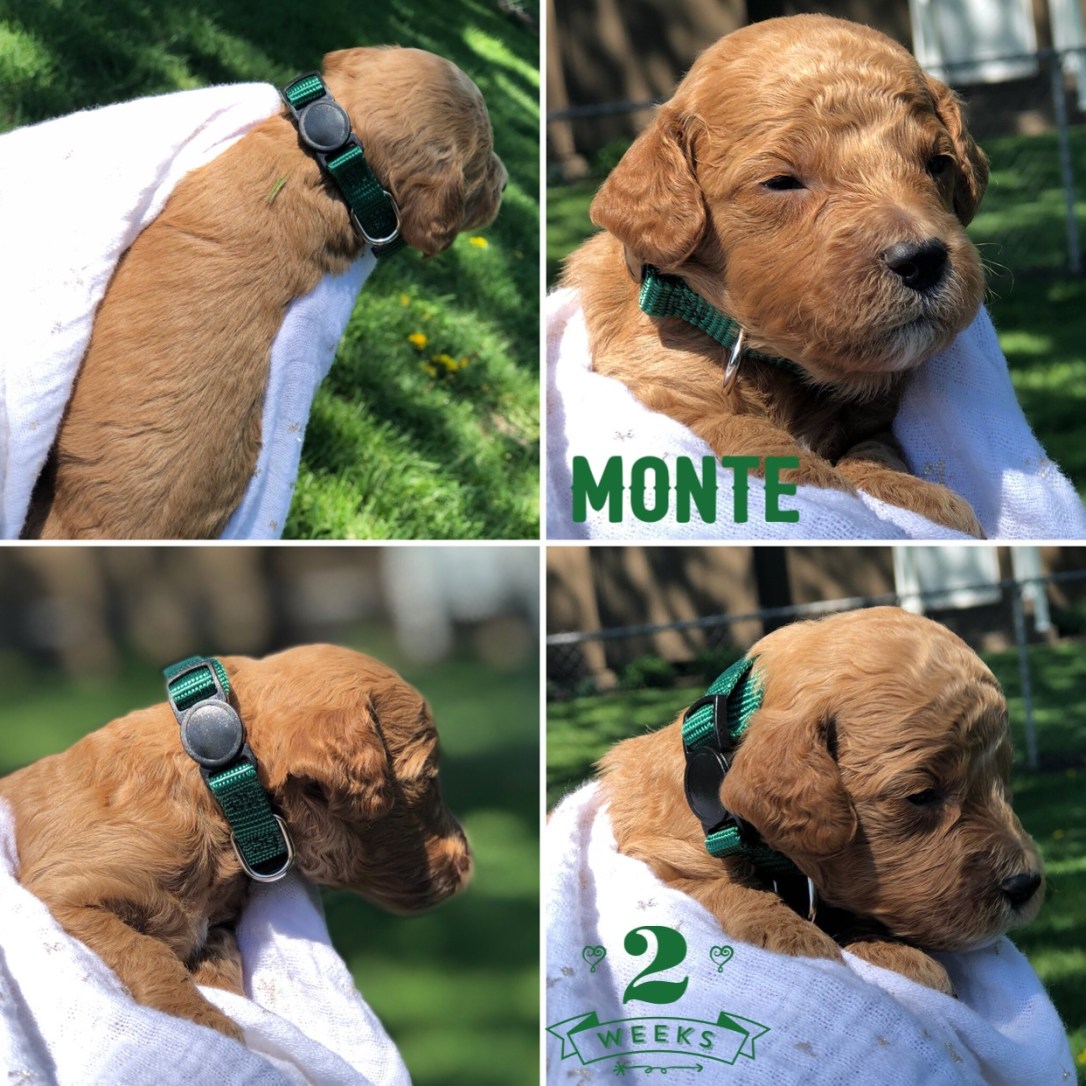 A1E80C69-116C-4E11-9C42-0BB9CFA2F7BD