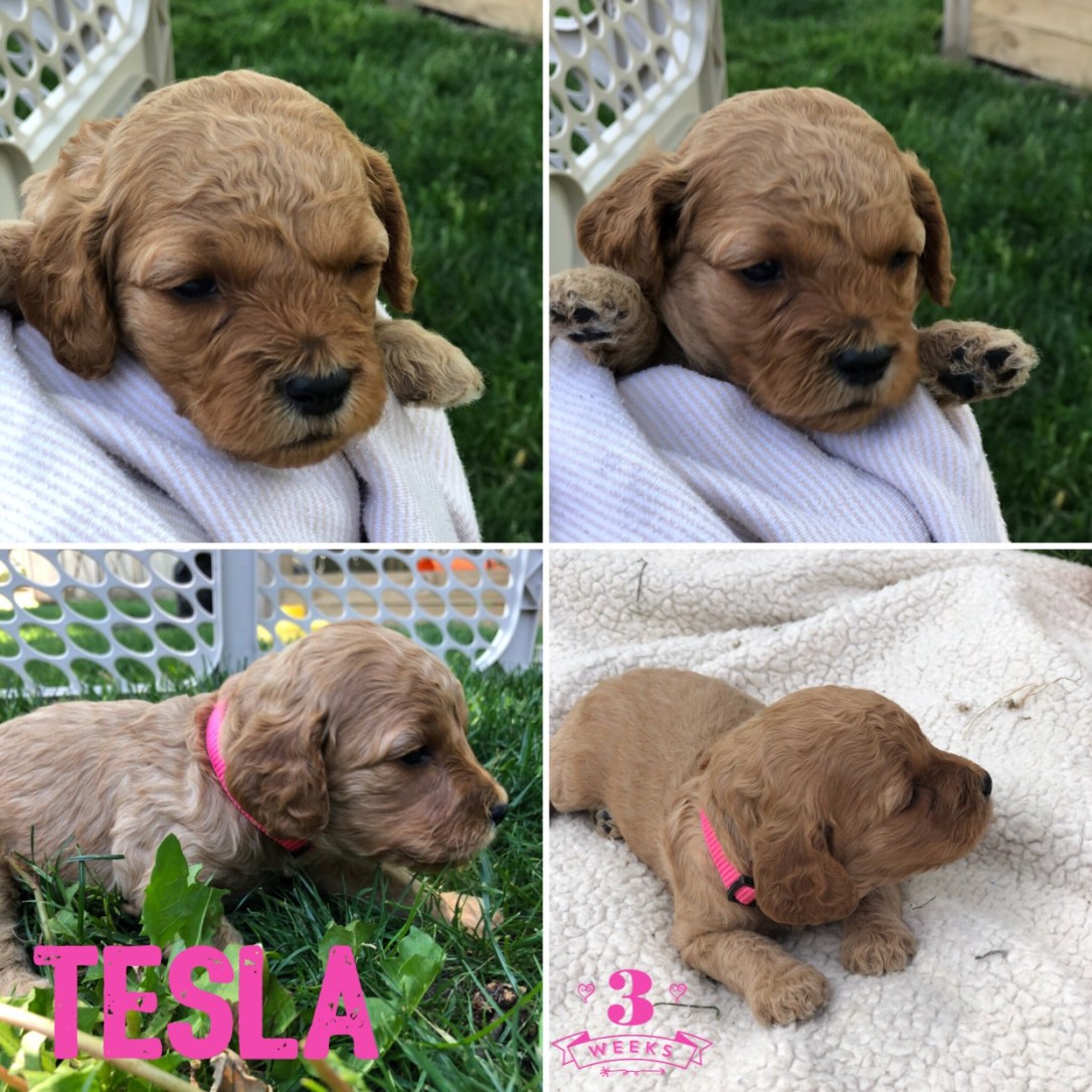 A47AC293-0A89-4992-B033-84E7C7C2E24B