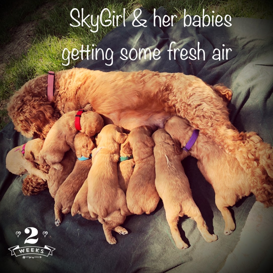 AF1E83D5-366F-48FB-B1F6-03168A6B0BB4