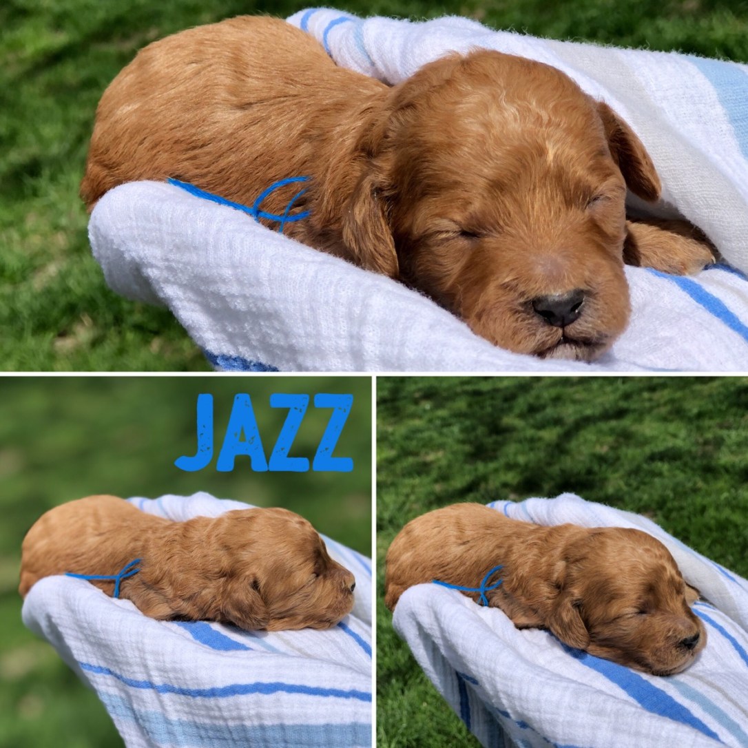 BB0454E3-A301-4925-A6F0-F68F097D0D80