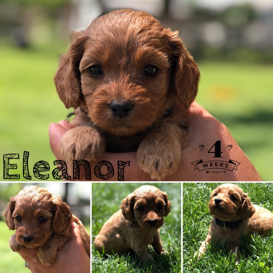 C19CF376-C7C4-4054-B4E4-4F4B9FD17E40