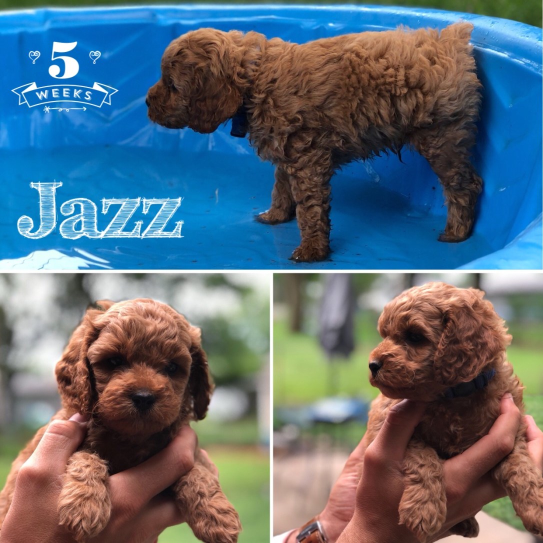 C641CDC5-A7BA-4365-8717-C817EE4CE2F4