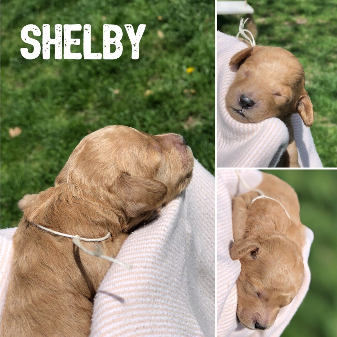 C9661B10-D5CC-4D89-87A8-C334D20808B8