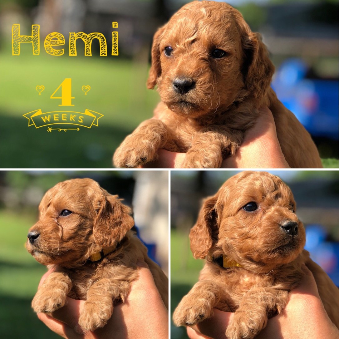 D04FED3F-94B7-4B7D-955A-A26F34A82E4B