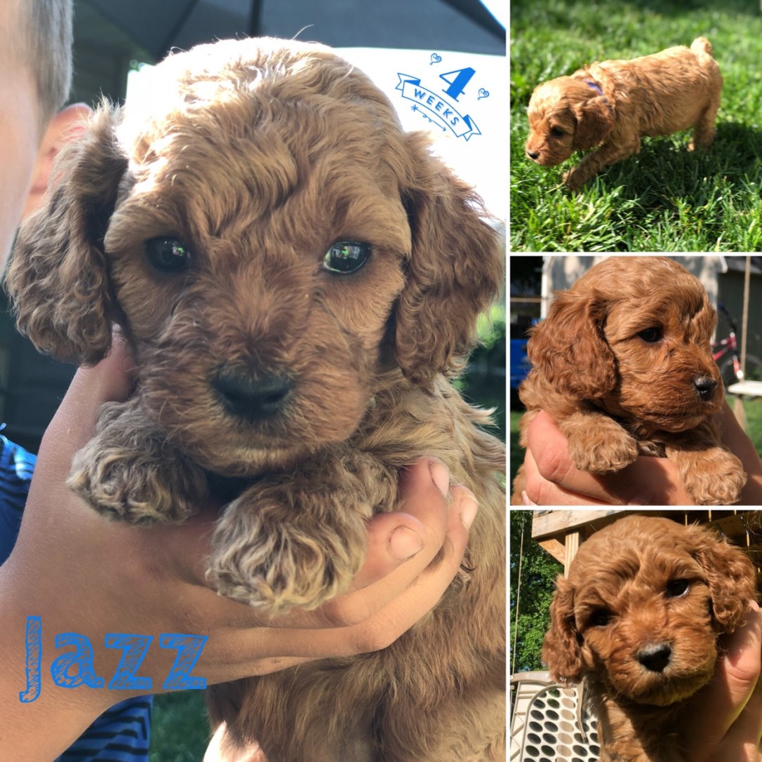 D473FD3E-2849-42DC-8024-E00C442D8159