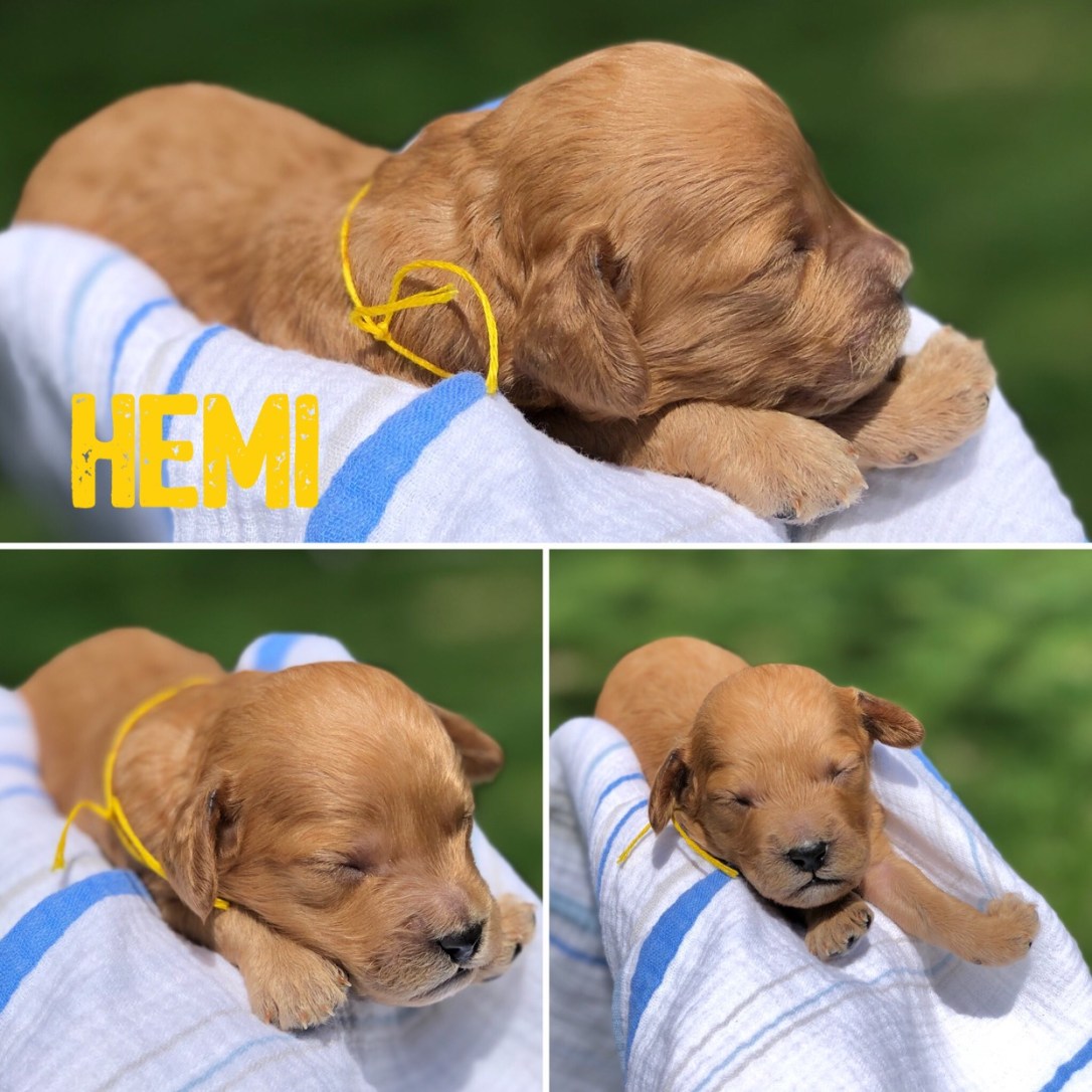 D68A231E-152F-42B2-870E-745C85154AAC