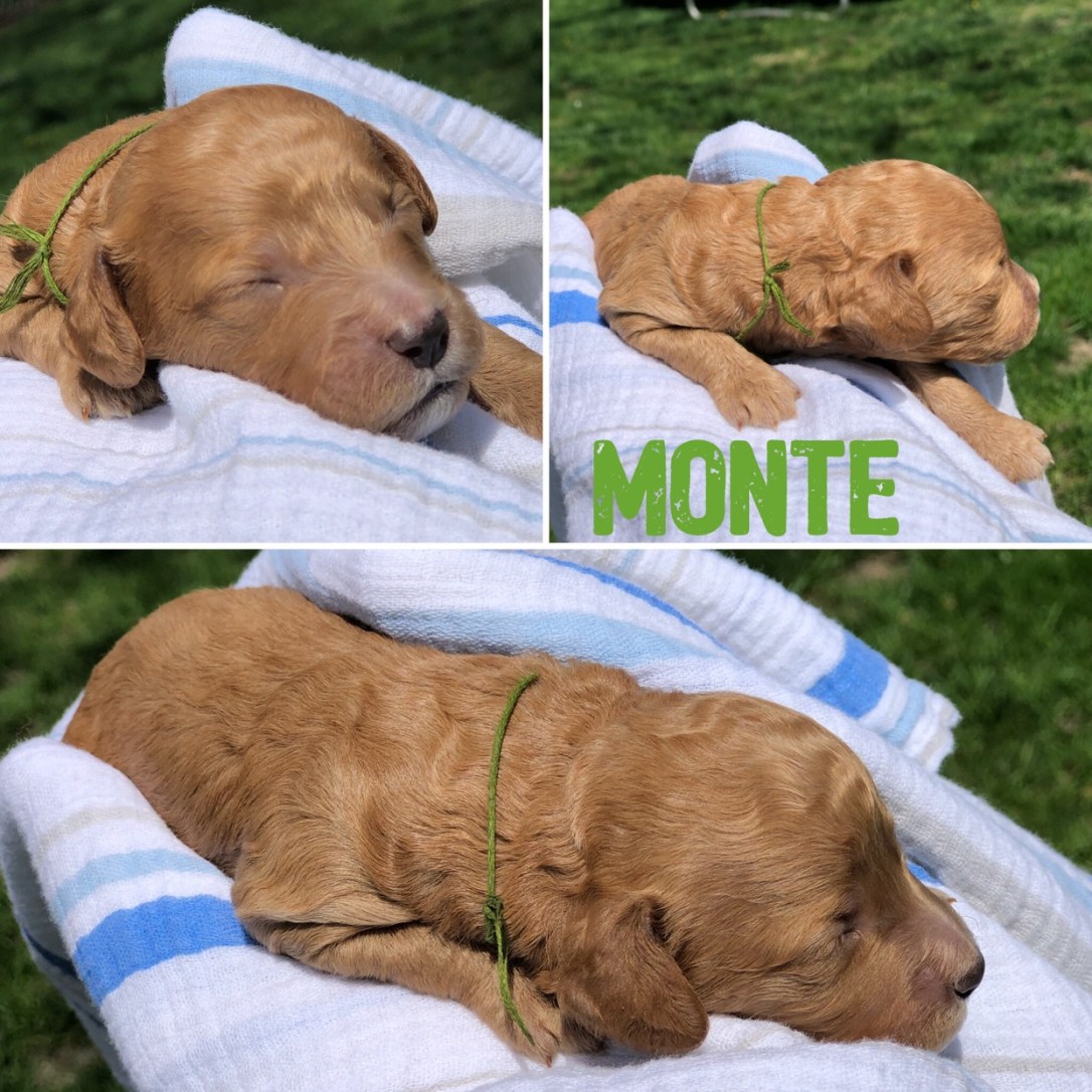 FE5516B6-B028-43E0-AB25-B979770CF038