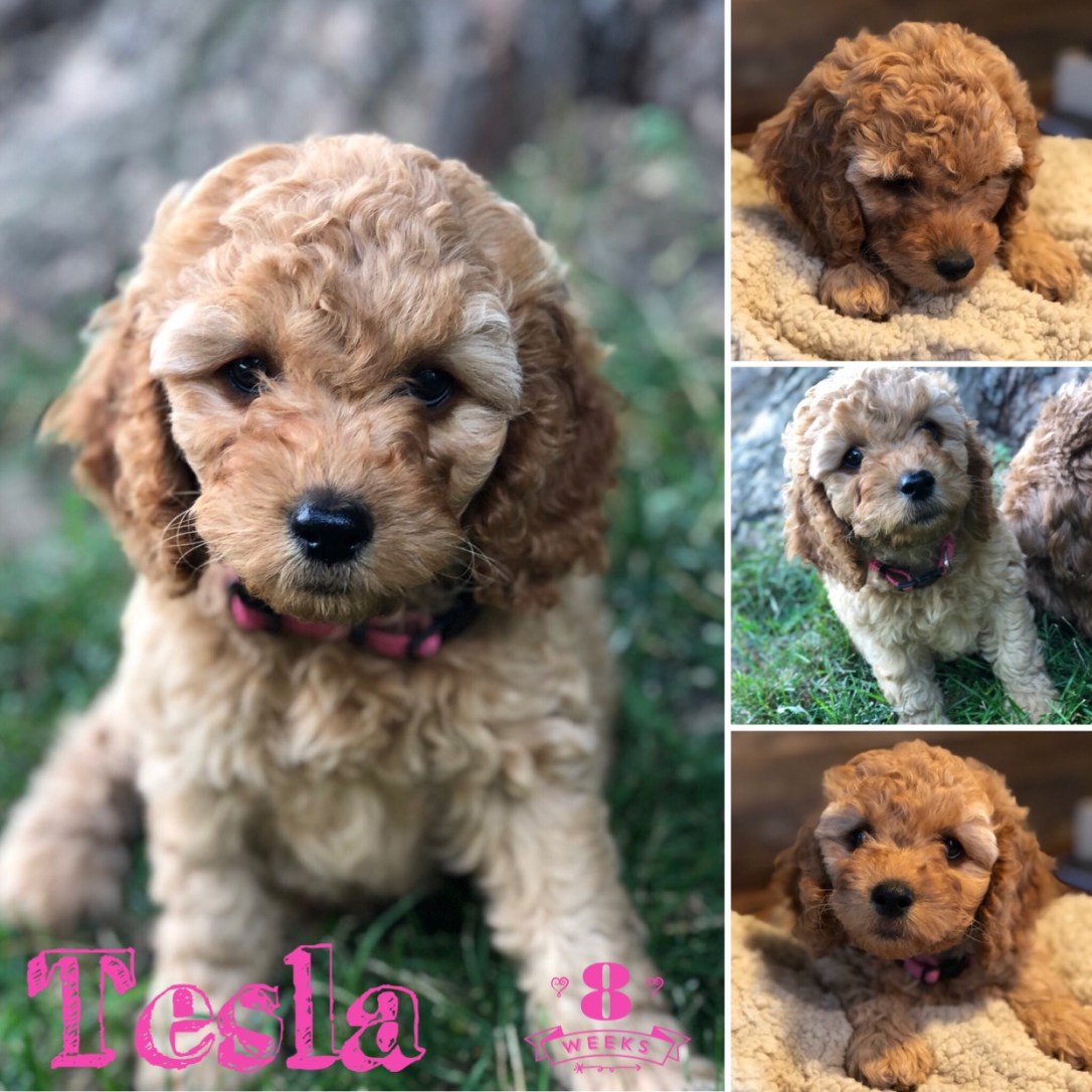 090AB496-6AD6-4B3E-A44B-3F7E992E9594