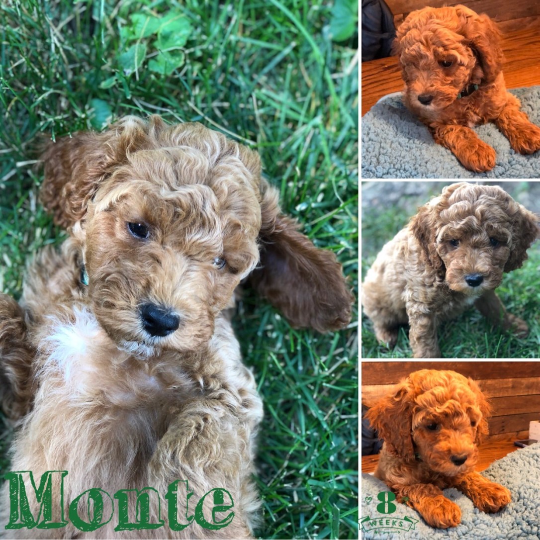 0E18B65E-8B8C-47C6-9013-83144211B9FD