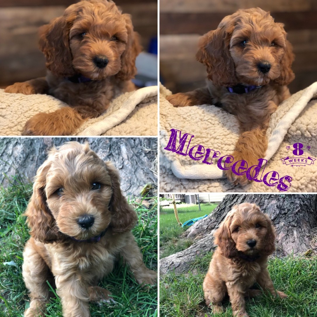 12FA9CF8-2B30-4E58-99C8-2FE146C99877