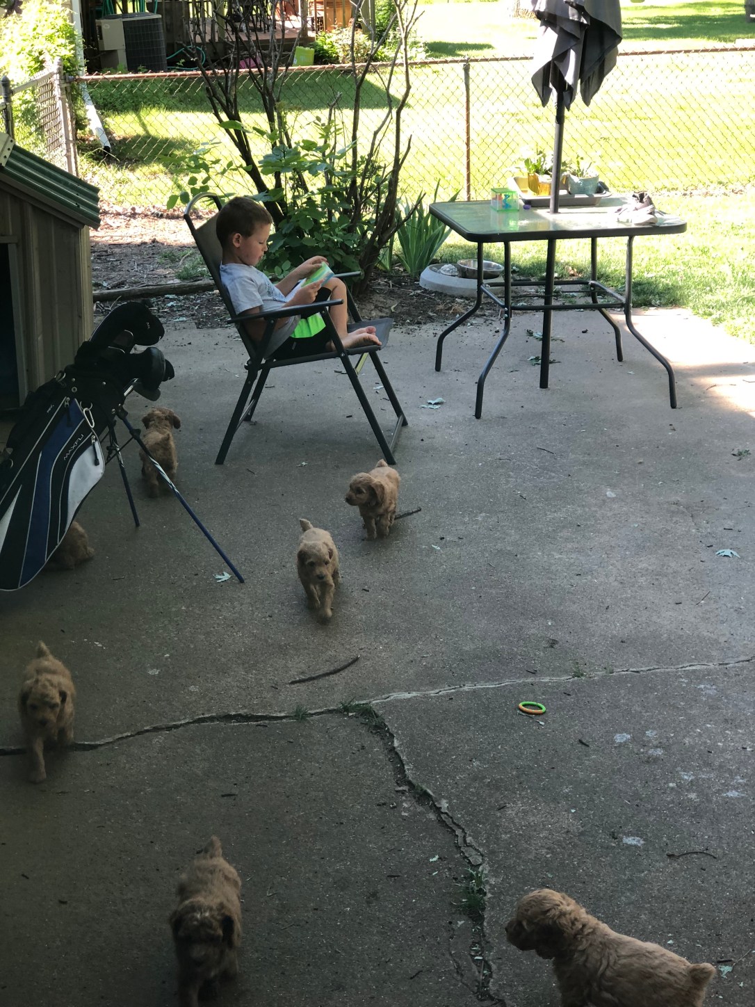 1E4B46CC-D294-491C-8E22-FEE6112FB1FB