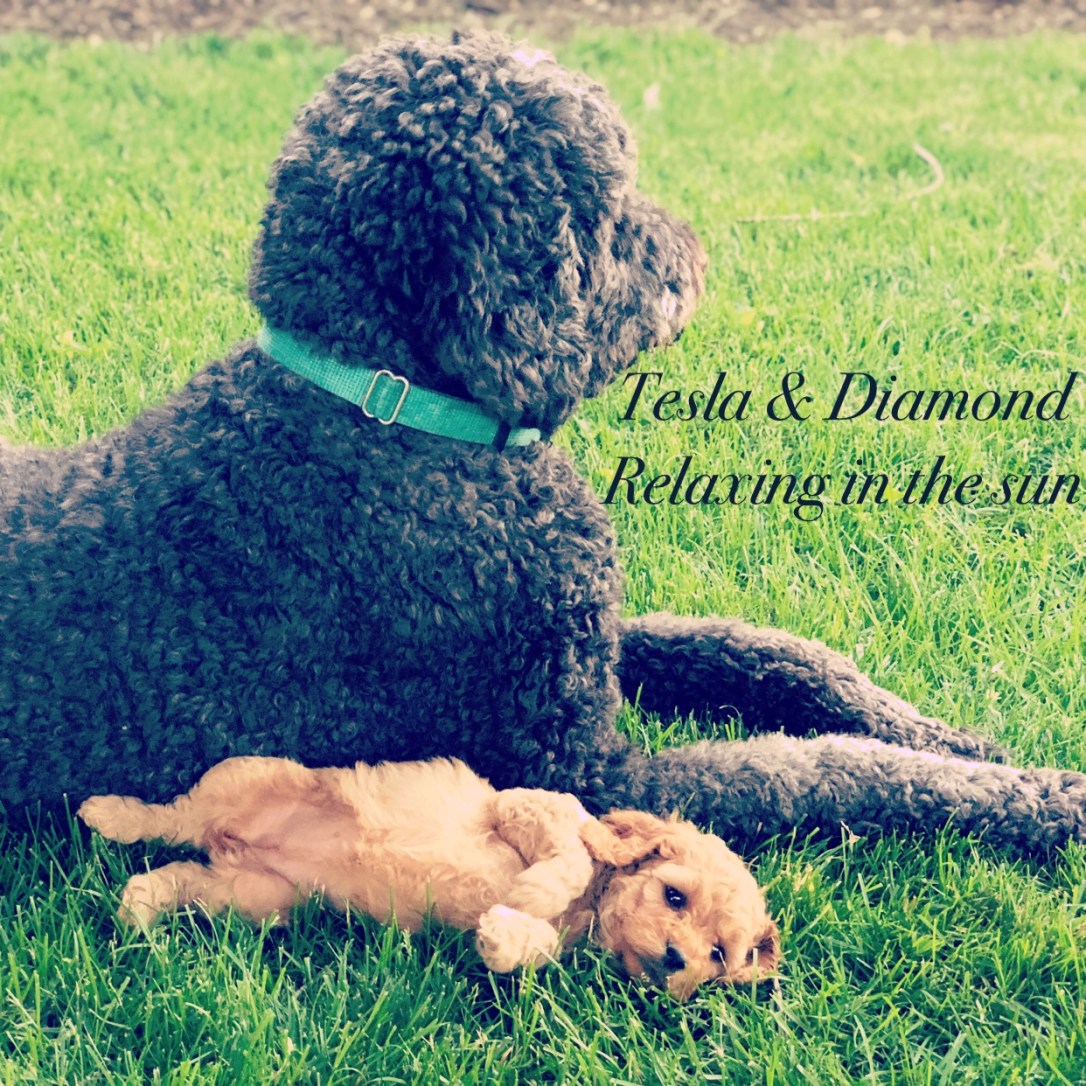 2D9E6D86-260A-4E2E-9AEA-894EC75B6106