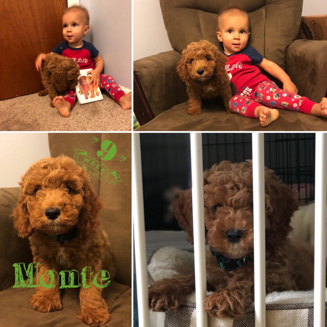 2E61E85C-A4DD-4EE2-87BA-0BF104476953