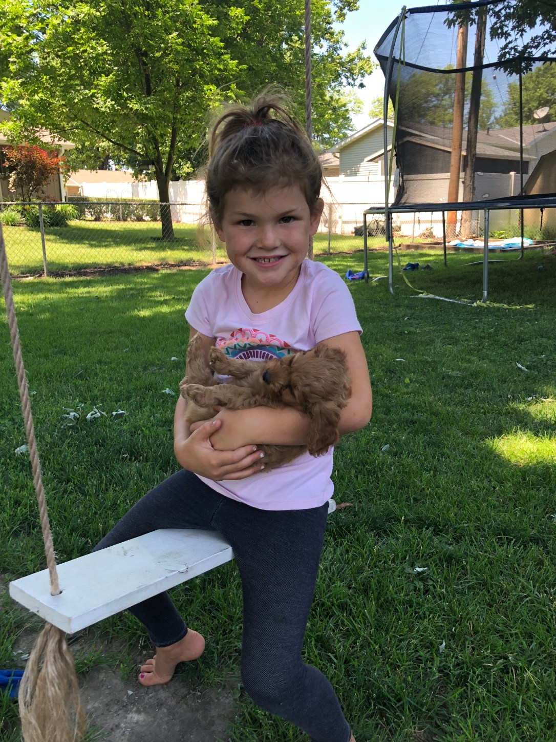 326733FB-4E33-4CA3-B4AB-BA53D0D064F5