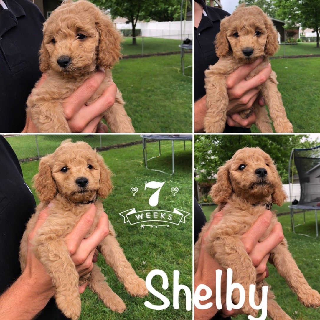 3634B34E-3284-48B9-B50E-949D62A56A4A