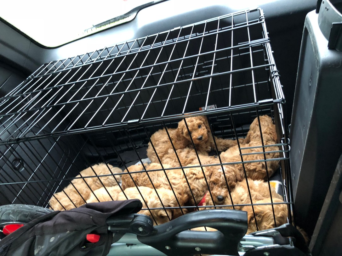 3C36C2C4-710E-4058-A883-AD571976EC71