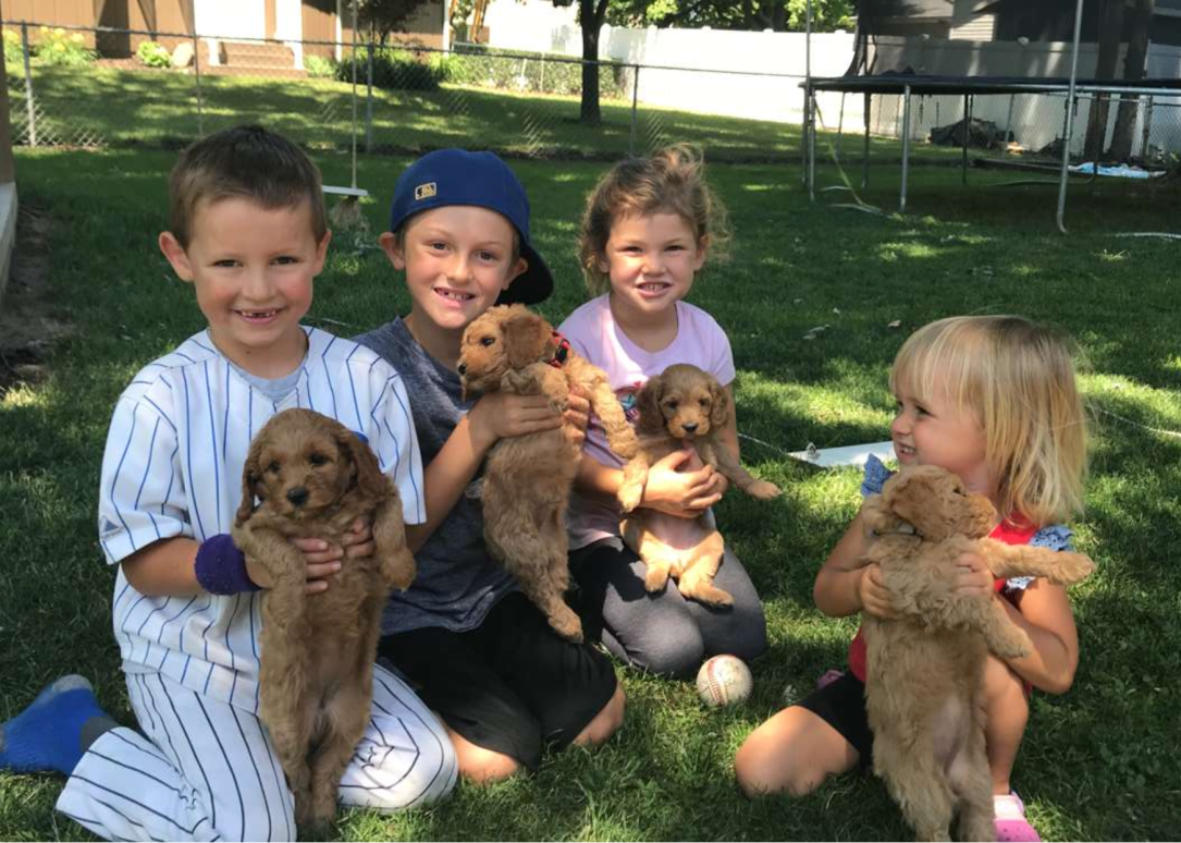 3F5F68AD-78DA-4823-B4AA-B84A699459C4