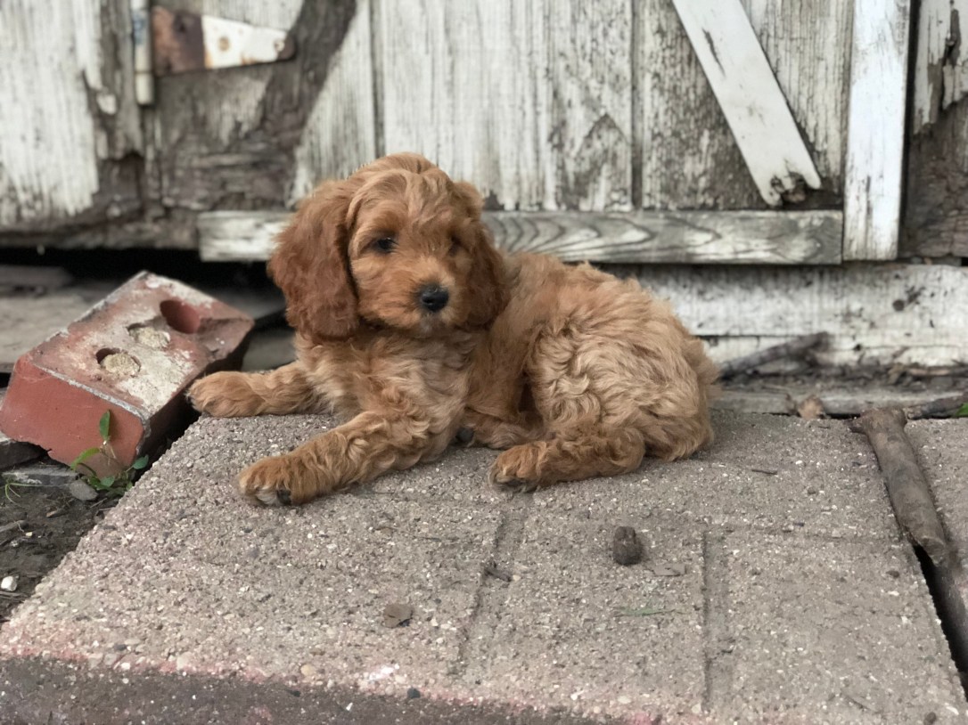 47FBF713-DE7A-4BB6-8C02-30B75D984672