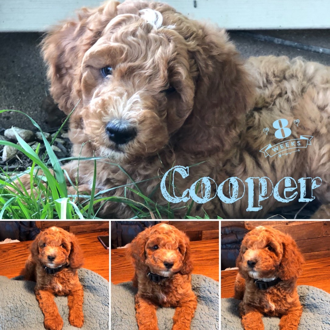 4AC8D748-E668-4ECF-B48A-BC04000A07B6