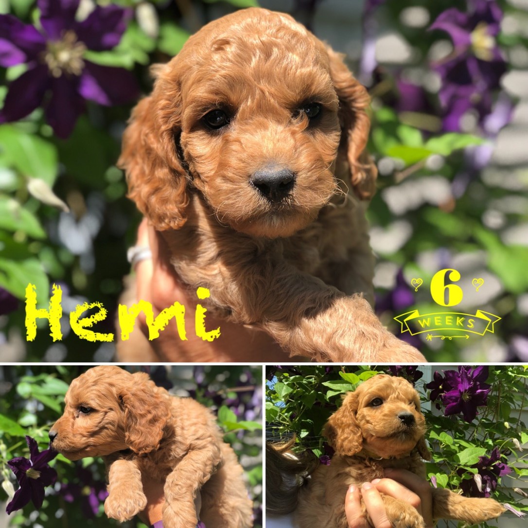 4B248903-9898-4DE3-A541-1D7C02D318AD