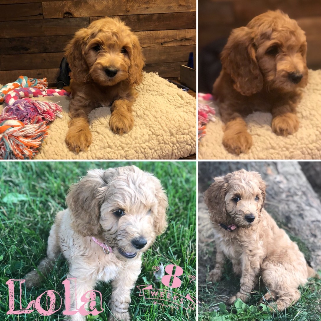 627B7099-E819-4026-830C-633529178C2B