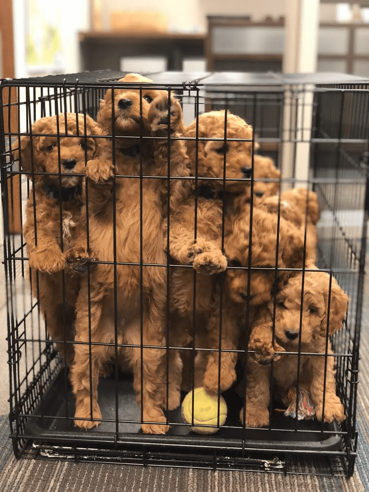 663009F7-F47A-41E4-9E48-BCE0F3707029