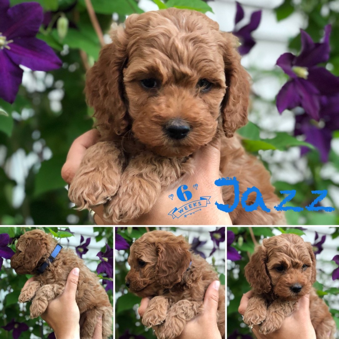 6E246DC1-6B6B-45BE-B317-E1F3F6C936F6