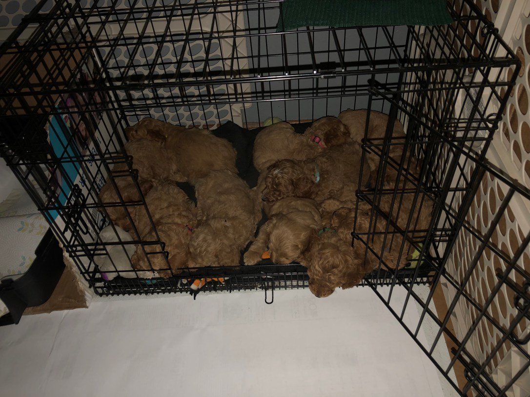 880340B4-0048-4875-A8DD-81F2E205889B