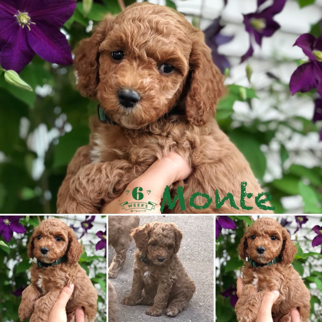 8BBE3A97-64C8-4CA0-B5D2-BB84F62E6F1B