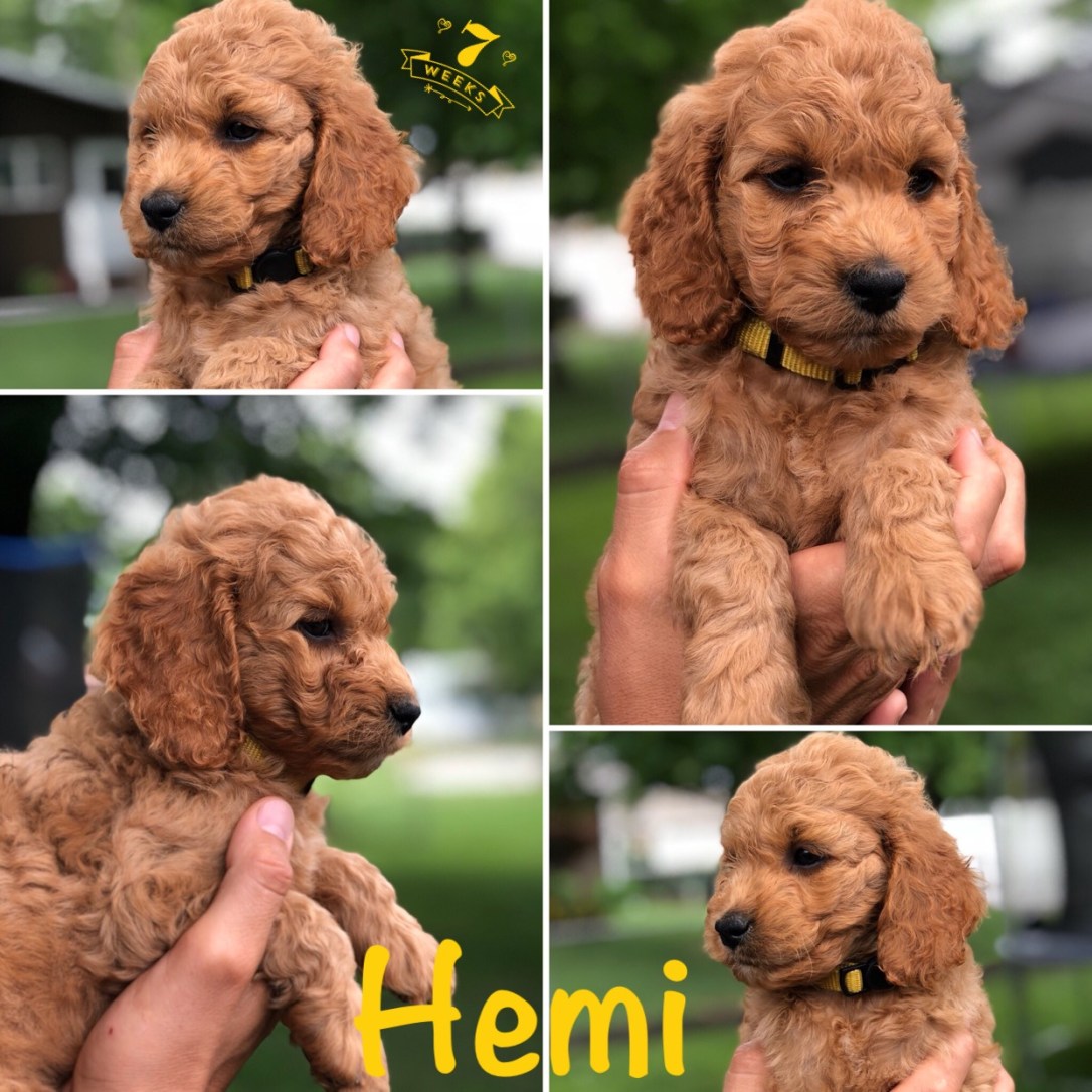 8D53FD10-1592-4F0D-9DD8-83118F0CB964